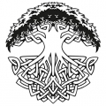 Yggdrasil_WS